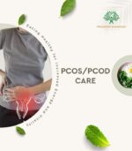 Active Fitness - Image 3